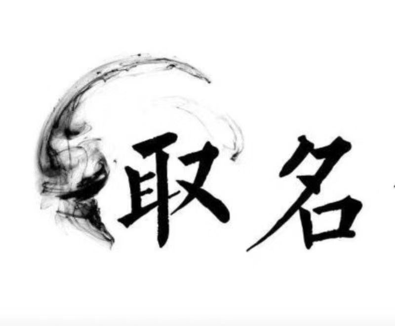  东洲宝宝取名 大师一对一人工起名